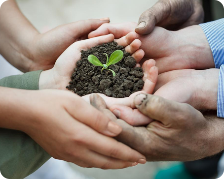 Rectangle 161125143 (3)